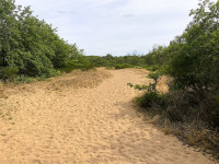 Les Dunes des Charmes